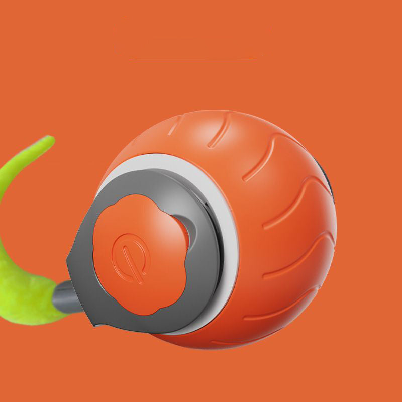πΎ Speedy Tailβ’ Cat Toy β Adjustable Speed & USB Rechargeable Fun!