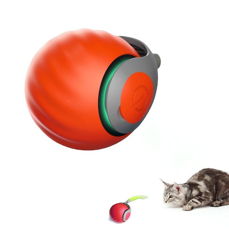 πΎ Speedy Tailβ’ Cat Toy β Adjustable Speed & USB Rechargeable Fun!