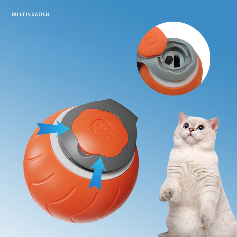 🐾 Speedy Tail™ Cat Toy – Adjustable Speed & USB Rechargeable Fun!