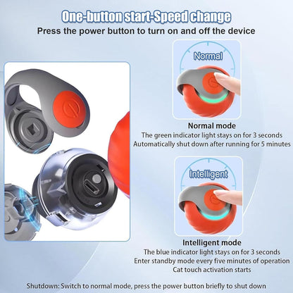 🐾 Speedy Tail™ Cat Toy – Adjustable Speed & USB Rechargeable Fun!