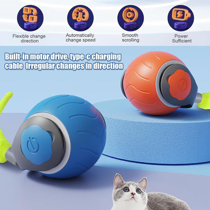🐾 Speedy Tail™ Cat Toy – Adjustable Speed & USB Rechargeable Fun!