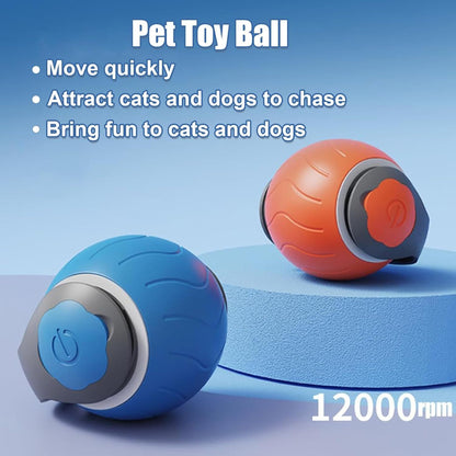 🐾 Speedy Tail™ Cat Toy – Adjustable Speed & USB Rechargeable Fun!